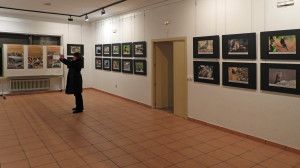 2016-12-10-el-espinar-06recpeq