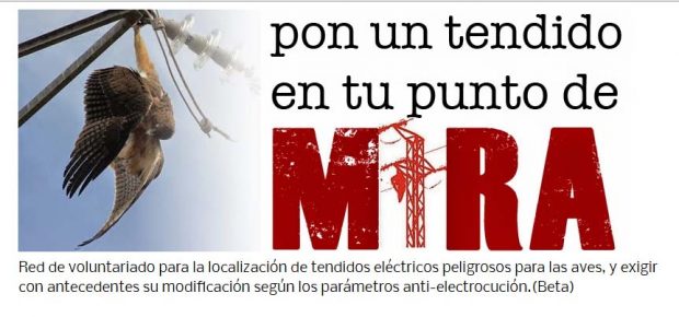 Red de voluntariado para la localización de tendidos eléctricos peligrosos para las aves