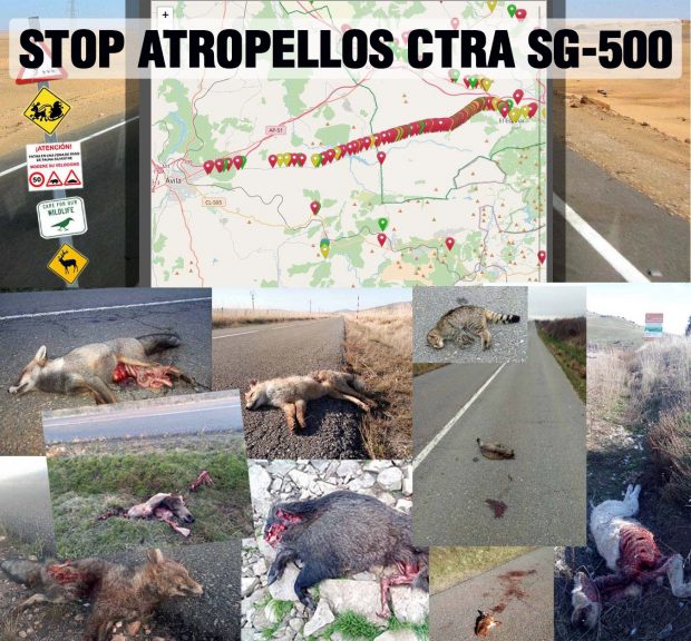 APOYA LA PREGUNTA. CARRETERA SG-500, POR UNA SOLUCIÓN INMEDIATA – Osoigo.com