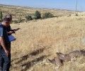 EL CTR ÁVILA NORTE Y LOS TENDIDOS ELÉCTRICOS SUMIDEROS DE AVES PROTEGIDAS