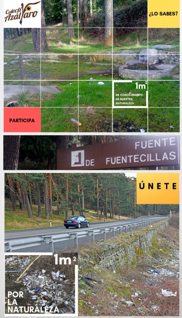 VUELVE LA GRAN RECOGIDA CIUDADANA CONTRA LA BASURALEZA