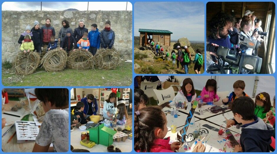 Educación Ambiental