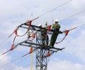 Iberdrola corrige una línea eléctrica de CyL convertida desde hace años en «punto negro» para aves protegidas
