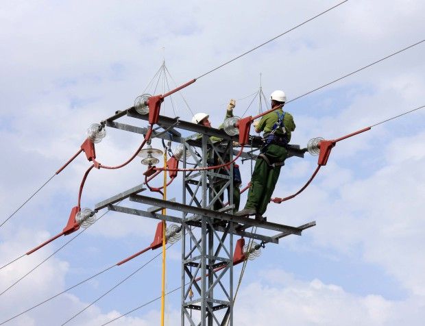 Iberdrola corrige una línea eléctrica de CyL convertida desde hace años en «punto negro» para aves protegidas