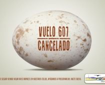 HUEVO[1]