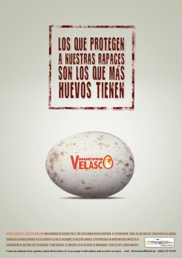 Alianza entre la empresa Huevos Velasco y el Colectivo Azálvaro como clave para la conservación de la biodiversidad.