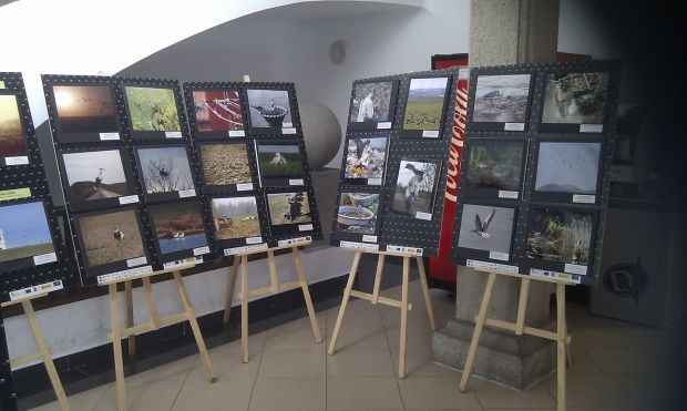 Exposición Fotográfica Itinerante. TRINO