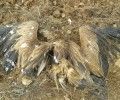 PUNTO NEGRO enmarcado en el Proyecto PON UN TENDIDO EN TU PUNTO DE MIRA en la Provincia de Segovia