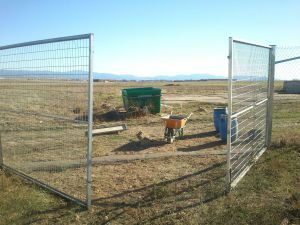 IMG-20151110-WA0012