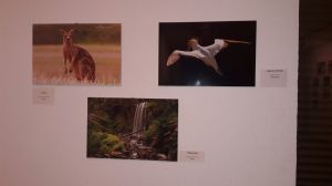 img-20161225-wa0008