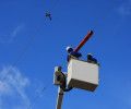 Iberdrola elimina un «punto negro» para las aves en la provincia de Ávila
