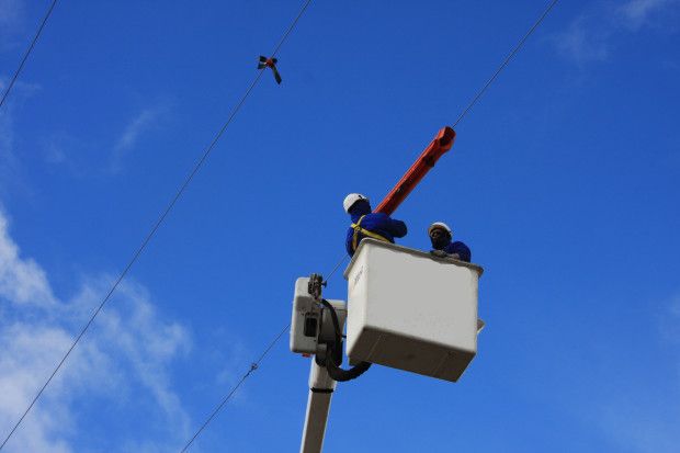 Iberdrola elimina un «punto negro» para las aves en la provincia de Ávila
