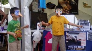 IMG_20160611_170842