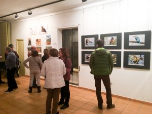 img_6879-2