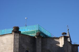 IMG_9001