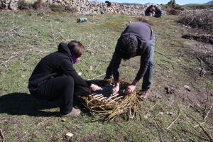 IMG_9085