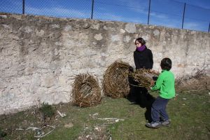 IMG_9087