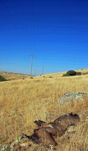 img_9754