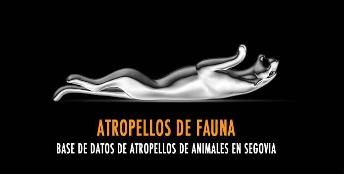 Base de Datos de Atropellos de Fauna