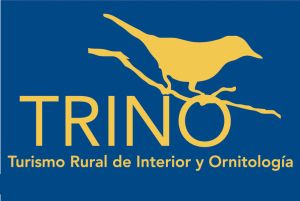 LogoTRINO_sin