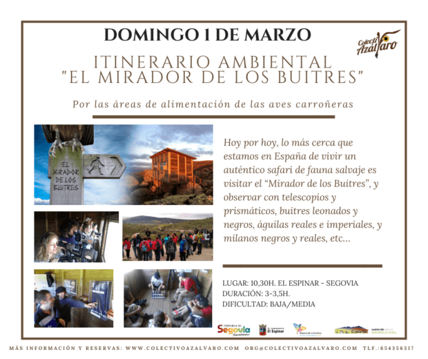 ACTIVIDAD «TAMAÑO FAMILIAR». Itinerario Ambiental «El Mirador de los Buitres»