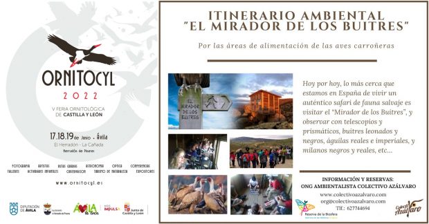 PROGRAMA DE ACTIVIDADES ORNITOCYL 2022. ACTIVIDAD «TAMAÑO FAMILIAR». Itinerario Ambiental «El Mirador de los Buitres»