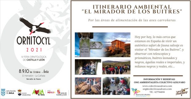 PROGRAMA DE ACTIVIDADES ORNITOCYL 2021. ACTIVIDAD «TAMAÑO FAMILIAR». Itinerario Ambiental «El Mirador de los Buitres»