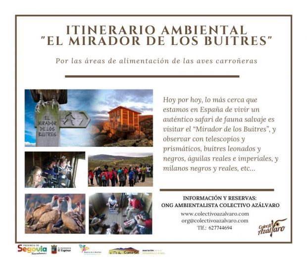ACTIVIDAD «TAMAÑO FAMILIAR». Itinerario Ambiental «El Mirador de los Buitres»