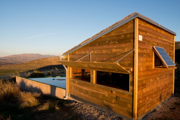 Hide en la Reserva de la Biosfera Real Sitio de San Ildefonso-El Espinar