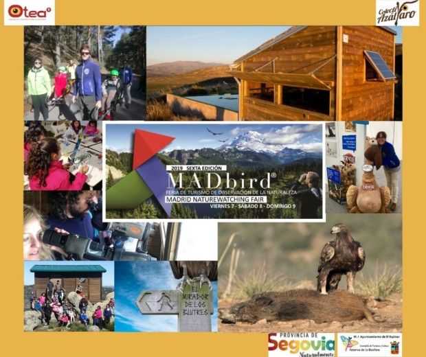 COLECTIVO AZÁLVARO EN MADBIRD FAIR 2019, LA FERIA INTERNACIONAL DE TURISMO Y NATURALEZA
