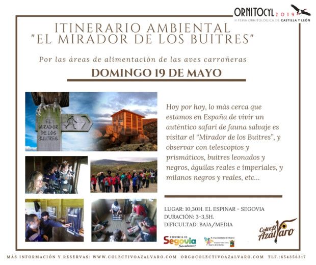 PROGRAMA ACTIVIDADES ORNITOCYL 2019. ACTIVIDAD «TAMAÑO FAMILIAR». Itinerario Ambiental «El Mirador de los Buitres»