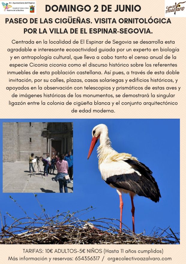 PASEO ORNITOLÓGICO POR LA VILLA DE EL ESPINAR. «CONOCIENDO A LA CIGÜEÑA BLANCA».