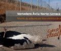 LA LINEA ELECTRICA DE ALTA TENSIÓN DEL VERTEDERO DE ÁVILA-NORTE SIGUE MATANDO AVIFAUNA