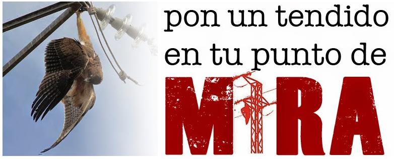 Pon un tendido en tu punto de mira