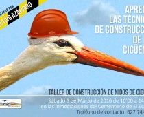 Taller WEB