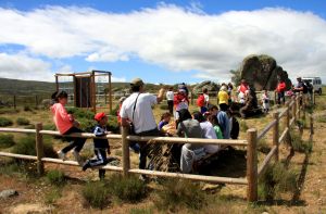 ZONA RECREATIVA
