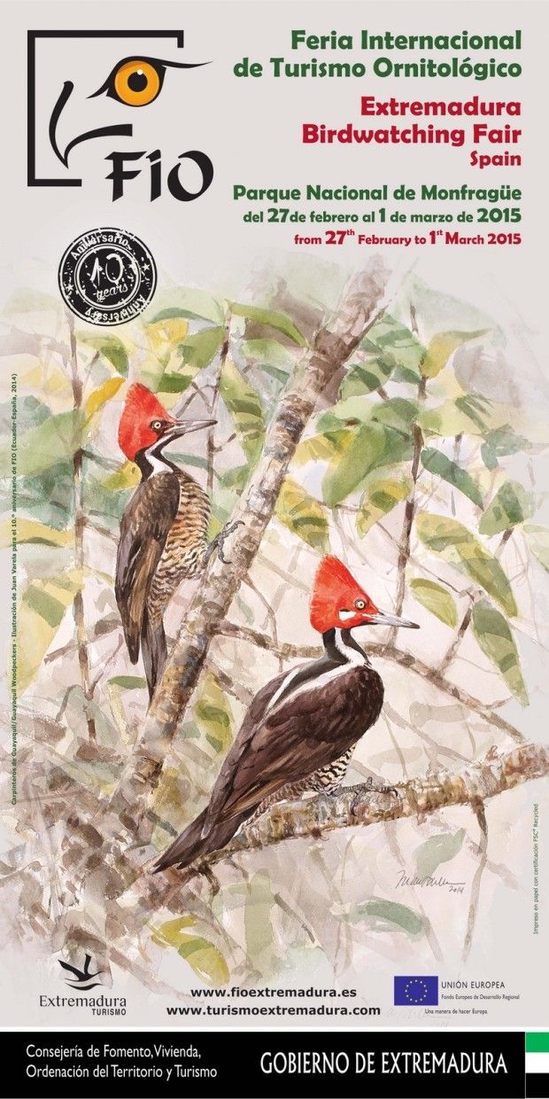 FIO 2015. Feria Internacional de Turismo Ornitológico (Extremadura Birdwatching Fair)