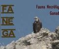 Proyecto FANEGA, fauna necrófaga y ganadería‏. (Ver VÍDEO)