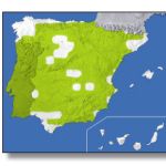 mapa-aguila-real