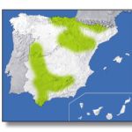 mapa-buitre-comun