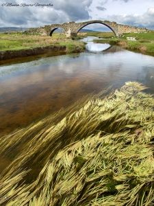 puentemerinas[1]