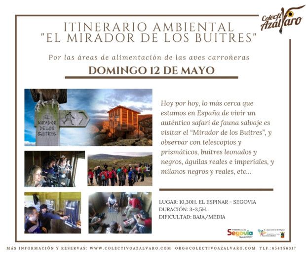 ACTIVIDAD «TAMAÑO FAMILIAR». Itinerario Ambiental «El Mirador de los Buitres»