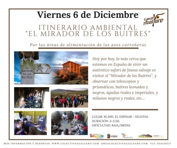 ACTIVIDAD «TAMAÑO FAMILIAR». Itinerario Ambiental «El Mirador de los Buitres»